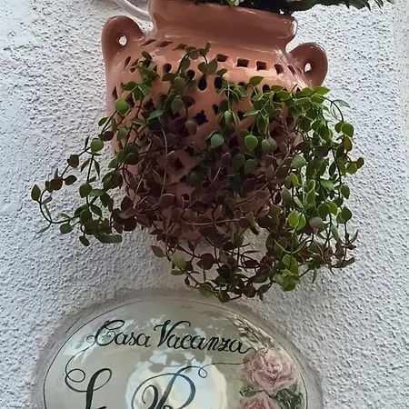 Casa La Rosa * 마르티나프란카