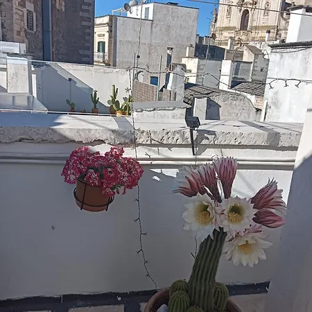 Casa La Rosa