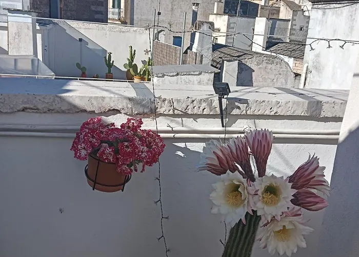 Casa La Rosa